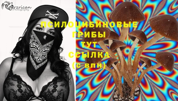 марки nbome Аркадак
