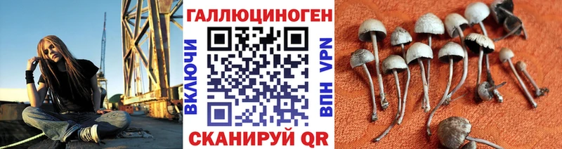 Псилоцибиновые грибы GOLDEN TEACHER  купить   Похвистнево 
